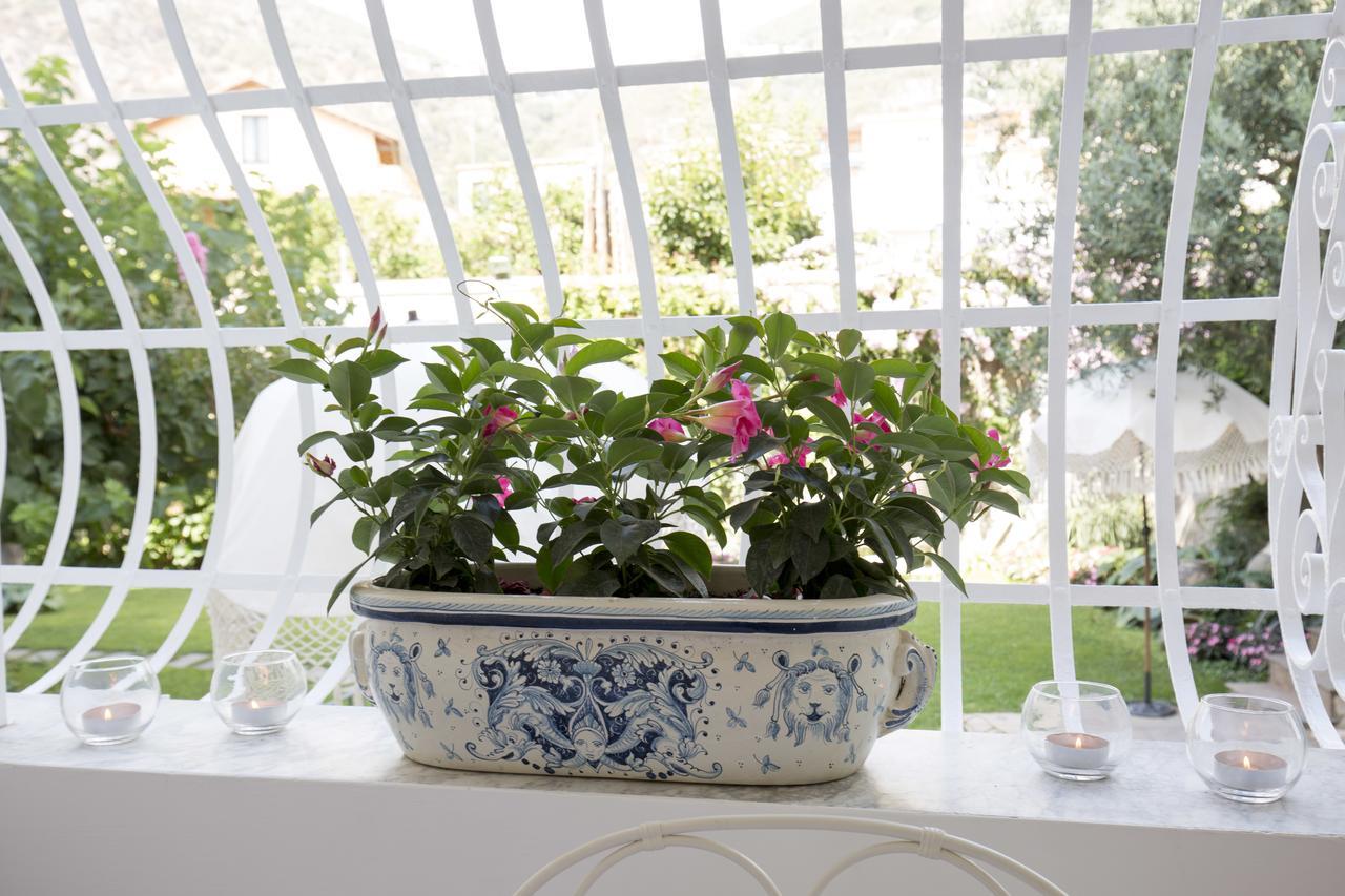 Palazzo Cacace Relais Bed & Breakfast Piano di Sorrento Eksteriør bilde